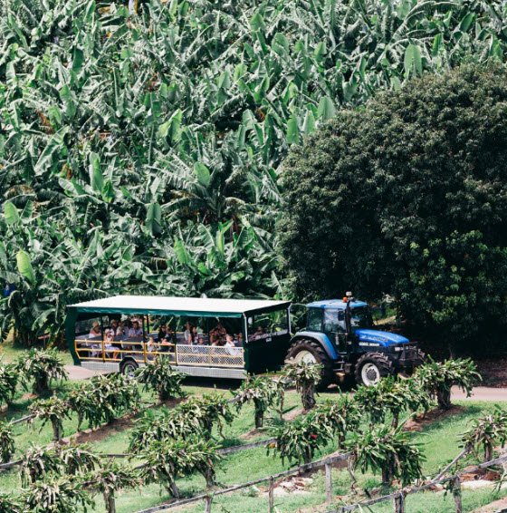 Fruit Spirit Botanical Gardens, Australia